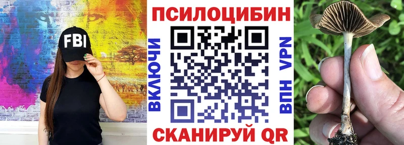 сайты даркнета телеграм  Боготол  Псилоцибиновые грибы прущие грибы  где купить наркотик 